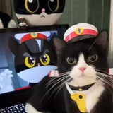 黑猫警长