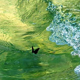 eurus