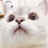 豆友207705784