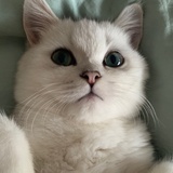 ʚ露酱ɞ