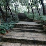 人人尽说西方好