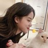 第五