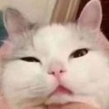 阿肥