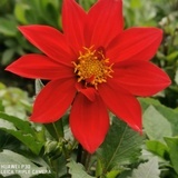 春暖花开