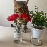 豆友207817129