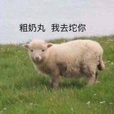 何负相思