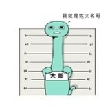 鸽子