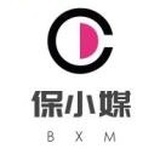 保小媒