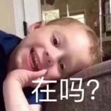 活捉一只蠢z