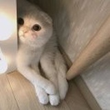 S。