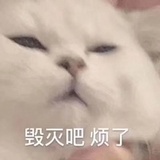 豆豆豆