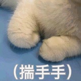 旺旺扇贝