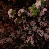 写东西的