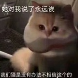 拥友