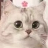 十三月十九
