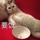 累了、躺
