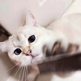 豆友207919447