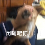 悄悄