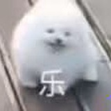 豆友207934901