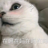 干4月的🌸
