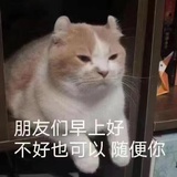 齐木楠雄的灾难
