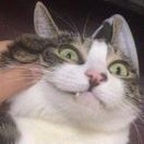 刀笔文焕R