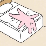 蓝胖子猫