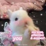 _Isabbb