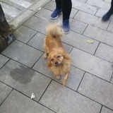 激动的豆豆
