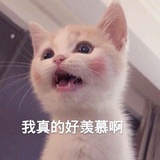 养乐多