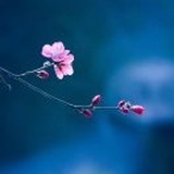 天真