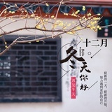 狮子座流星雨