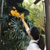 艾薇小佳
