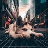 三三