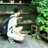 诗意的生活