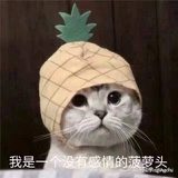 白木