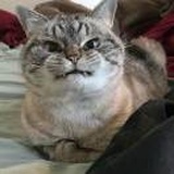 许超