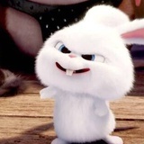 你猜猜我是谁