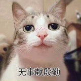 迟迟不要迟到了