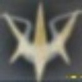 常磐