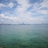 我是大奇葩go