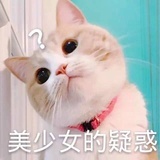 随便叫一下