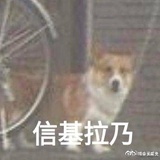大胖划潜艇