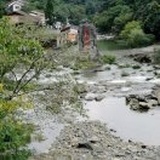 飞哥