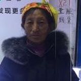 沙日作
