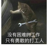 花生生的🐱