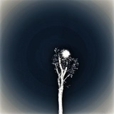 江月年年