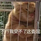 贰零贰零