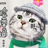 胡萝卜汁在哪