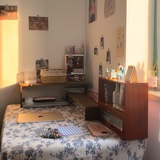 骗子江湖
